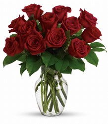 Enduring Passion - 12 Red Roses from Arjuna Florist in Brockport, NY